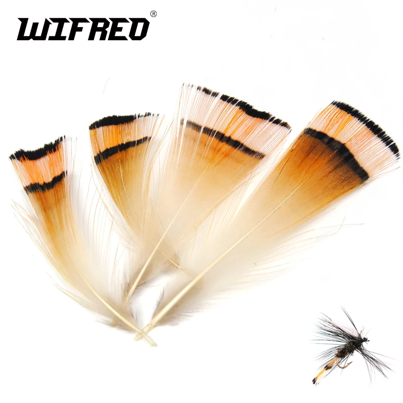 50PCS Natural Color Golden Phe - Fishing Equipment Brands 评论和价格