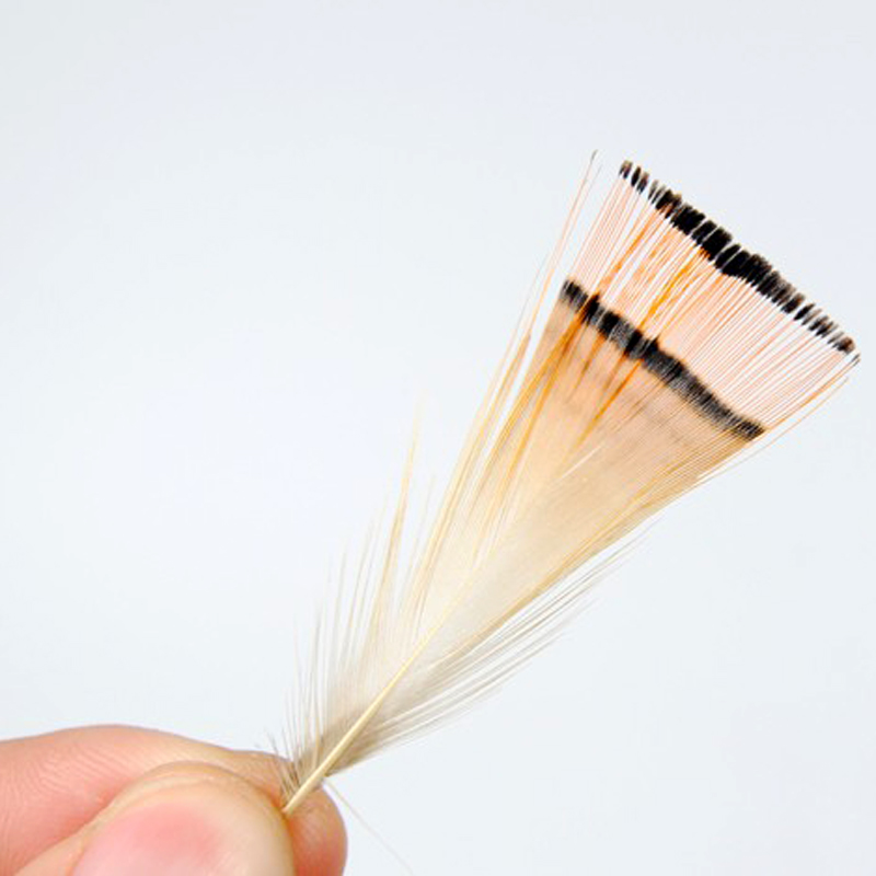 50PCS Natural Color Golden Phe - Fishing Equipment Brands 评论和价格